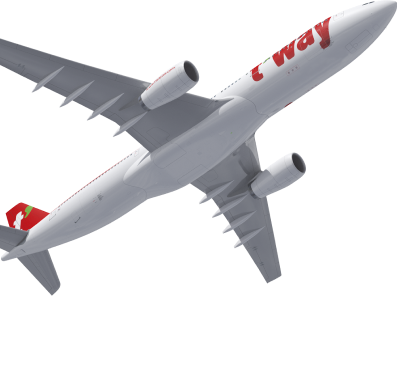 티웨이비행기동체이미지